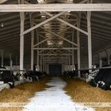 Крупный животноводческий комплекс открыли в 
