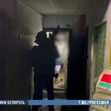 Задержан 19-летний пинчанин - приверженец национал-социалистической идеологии