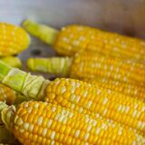 Больше не черника: другой продукт оказался полезнее для зрения