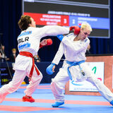 Пинские каратисты завоевали 28 медалей на международном турнире «WKF Belarus open»