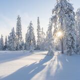 Самая холодная ночь в истории? Где в Беларуси 2 февраля было больше 30°C мороза