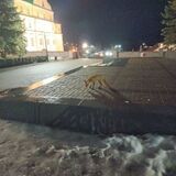 В центре Пинска на площади Ленина заметили гуляющую лису
