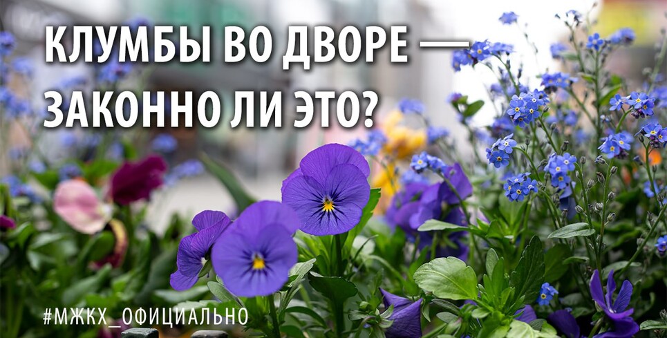 МинЖКХ: сами по себе клумбы у подъезда не штрафуют, но есть нюанс