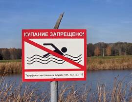 В Пинске работники ОСВОД спасли маленького мальчика от утопления