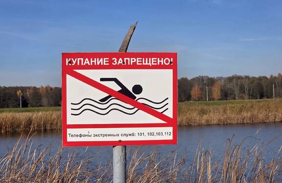 В Пинске работники ОСВОД спасли маленького мальчика от утопления