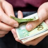 Новые штрафы с 19 июня: за опасные растения на участке, пропаганду чайлдфри и жестокое обращение с животными