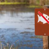 В Беларуси с 20 марта вводится запрет на лов рыбы в связи с нерестом