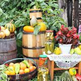 Площадки для торговли сельхозпродукцией