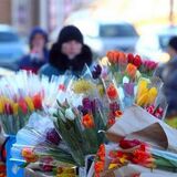 Собрались продавать цветы? Заплатите налог
