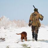 Пинская межрайонная инспекция охраны животного и растительного мира напоминает о соблюдении требований безопасности на охоте!