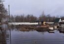 Западную часть Беларуси серьезно подтопило